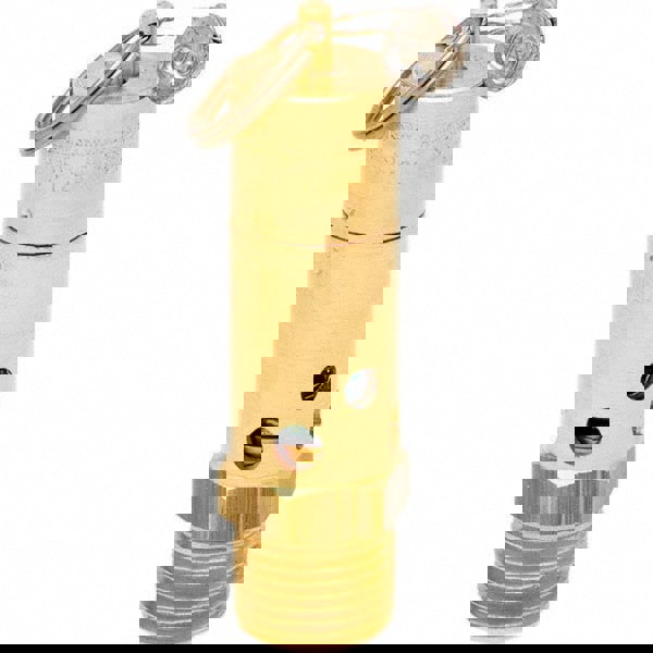 ASME Safety Relief Valve: 1/2